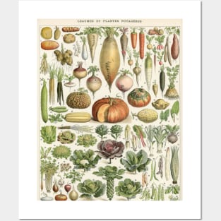 Vegetables Posters and Art